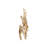 Aviary Gold Wall Sconce