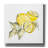 Armes " Lemon Still Life I " by Chris Paschke-1472851964