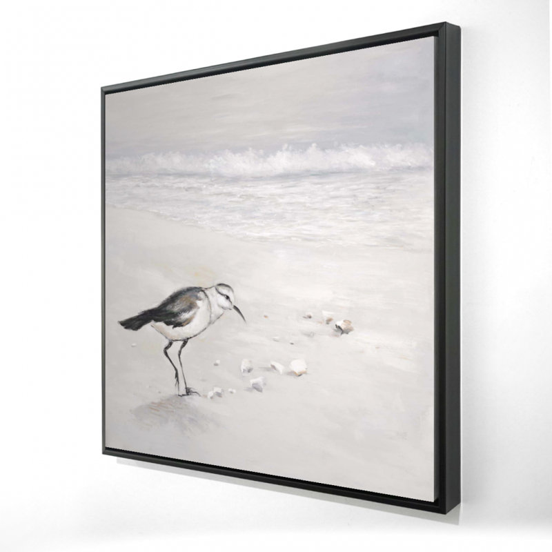 «Semipalmated Sandpiper» sur toile
