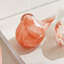 Petits pinsons-1869723297
