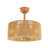 18'' Ceiling Fan Light With Remote Control