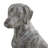 Knopf Dog Stone Garden Statue-105692578