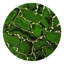 Stone Lacquer Placemat in Round-1769293450