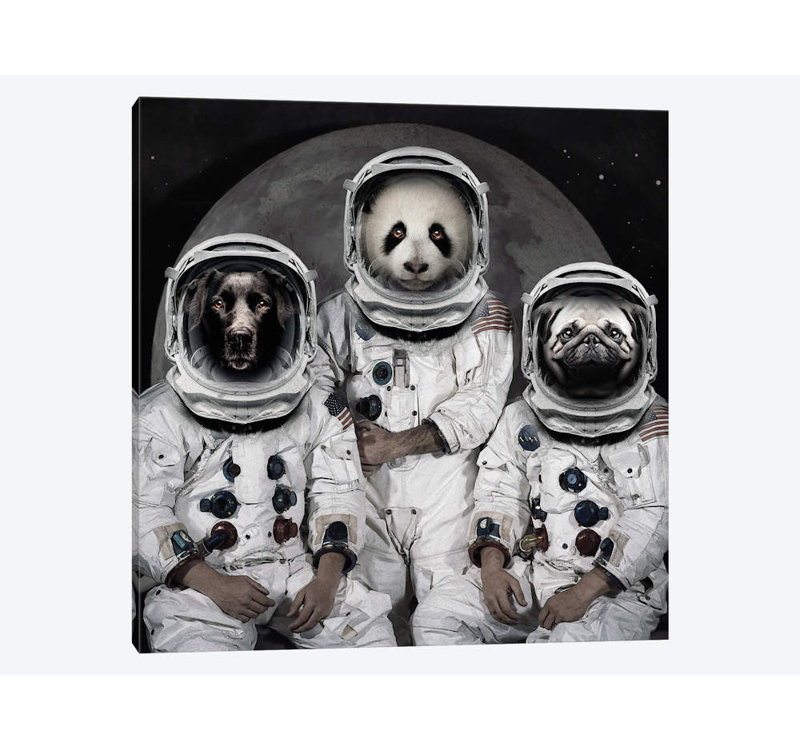 « astro animaux », impression sur toile, H 12 po x l 12 po x P 1,5 po, Toile tendue