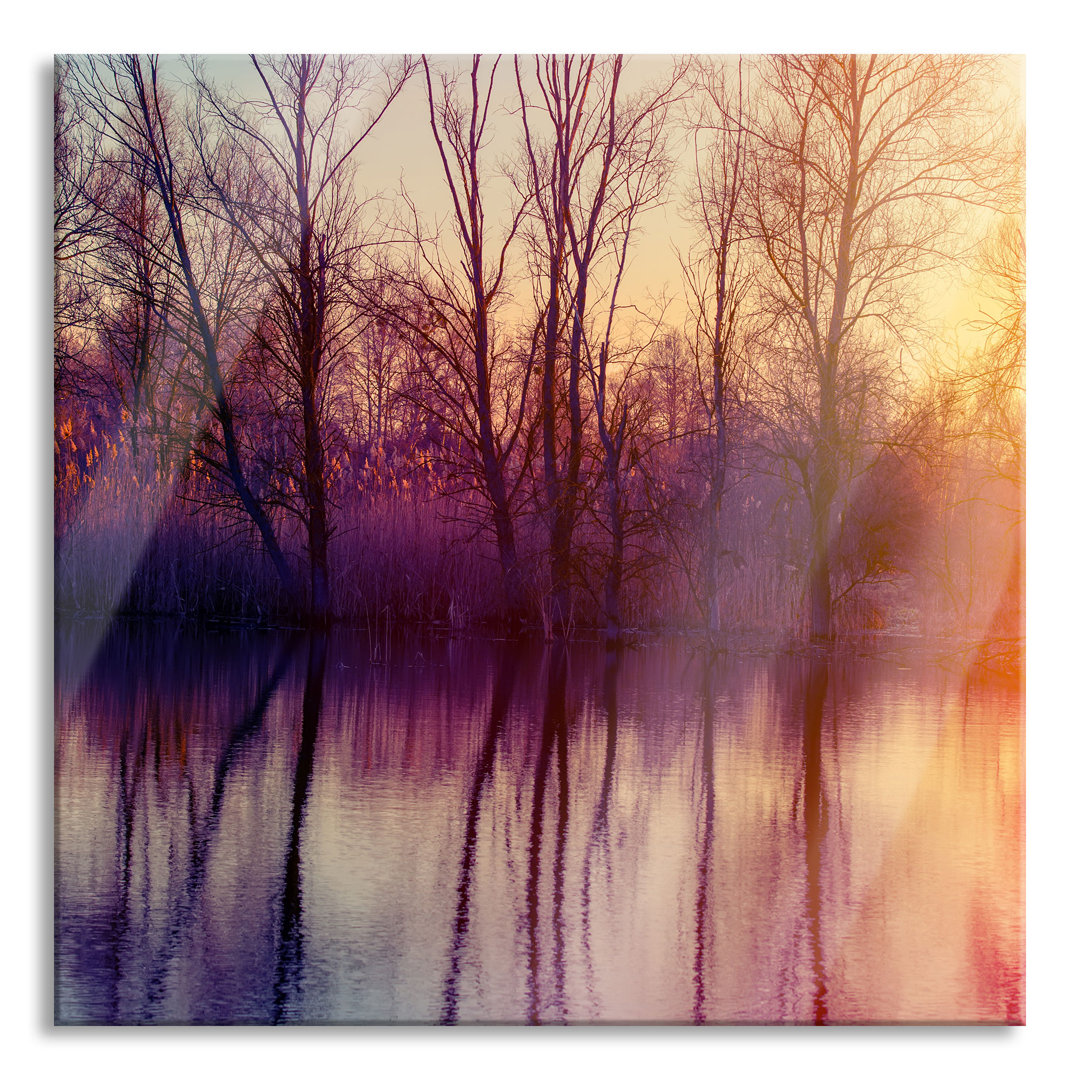 Glasbild Bäume spiegeln sich im Wasser