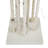 White Birch Trees with 160 LEDs Lights