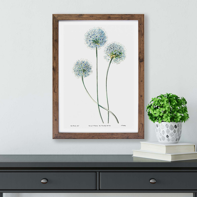 Dandelion Flowers - Framed Print, 24cm H x 33cm W x 2cm D, Walnut