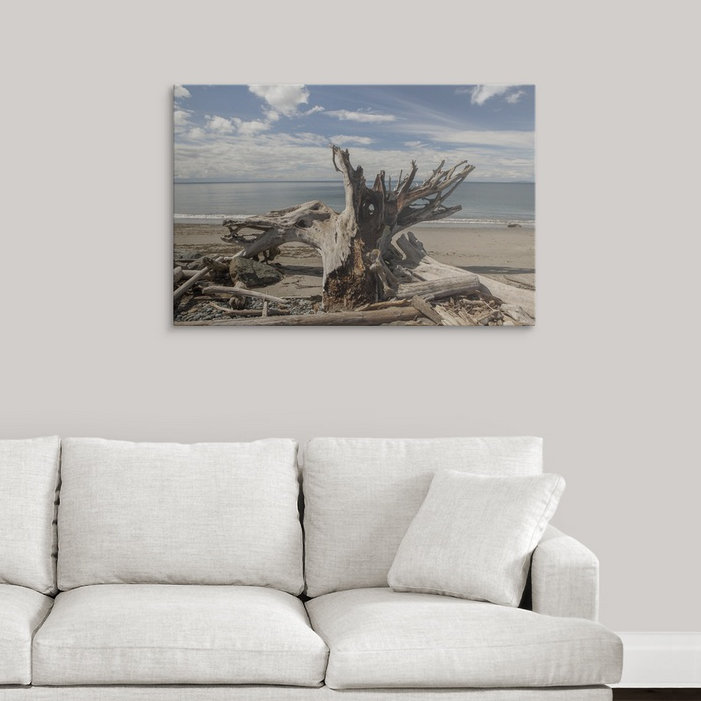 "Mccafferty" Driftwood "par Aaron Matheson, reproduction de photo, H 16 po x l 24 po x P 1,5 po, Toile