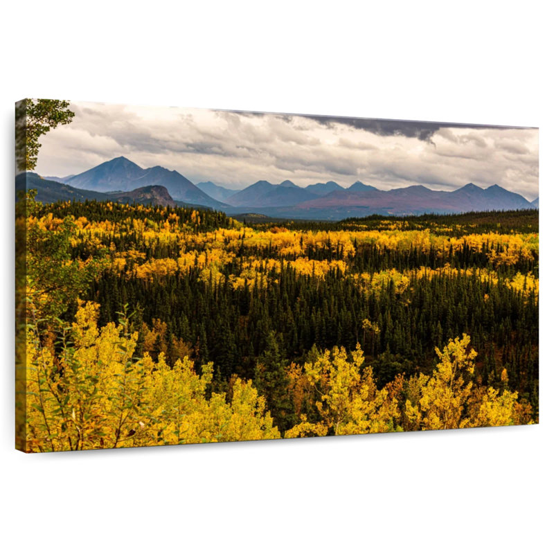 Forêt d'automne Harnek Denali, H 16 po x l 24 po