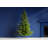 Lighted Christmas Tree-1282051876