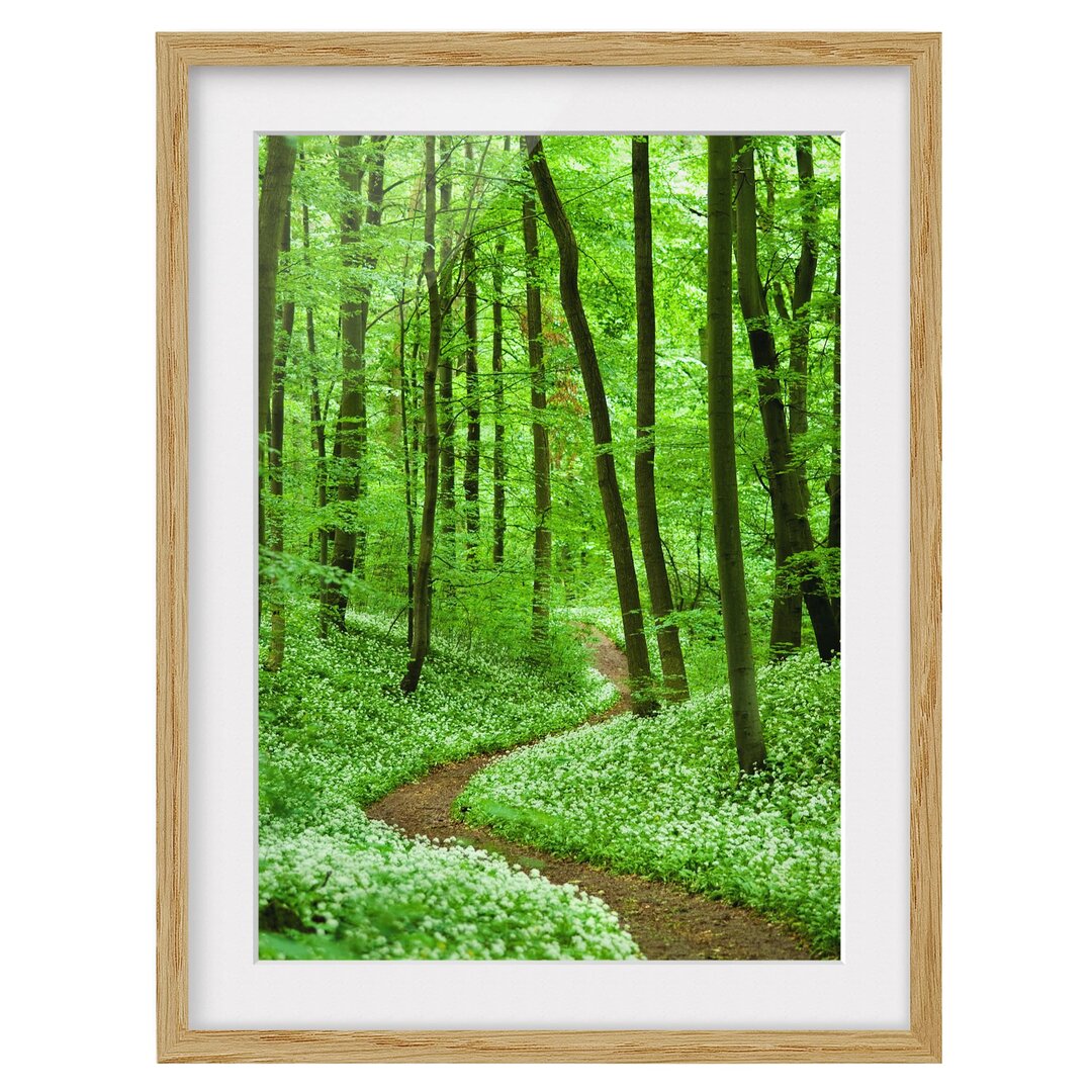 Gerahmter Fotodruck Romantischer Waldweg