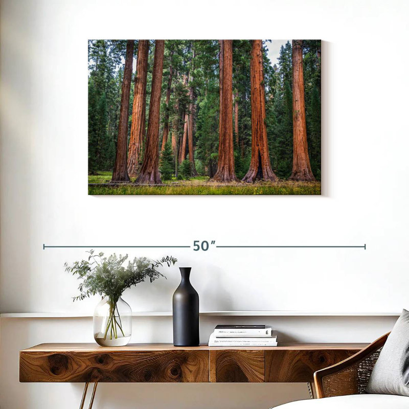Harnek superbe Sierra Redwoods, H 24 po x l 36 po