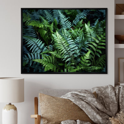 «Green Fern Scenery IV», reproduction sur toile