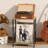 Rustic Brown Record Player Stand, 2-Tier End Table, Versatile Storage For Living Room And Bedroom