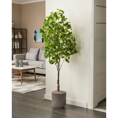 150cm Faux Ginko Tree in Pot
