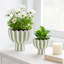 Pot de fleurs et ciment Planters