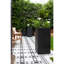 Square Plant Pot-35994146-35994144