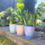 Nicola Spring - Hand Printed Plant Pot with Saucer - 20.5cm - Navy-112600967