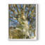 Oak Tree Framed Print - Solid Wood-1012834788-1012834714