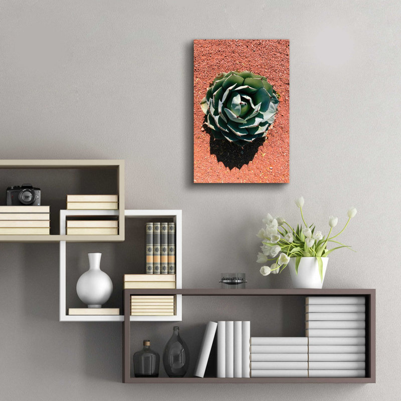 Dakota Fields 'Utah - Cactus 3' By Epic Portfolio, Acrylic Glass Wall Art, 12"X16", H 24 po x l 16 po x P 0,2 po