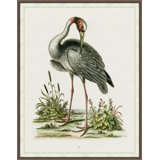 Regal Heron 1' Framed Graphic Art Print on Glass