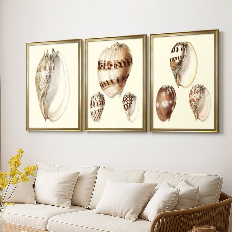 Splendid Shells IV - Toile tendue avec châssis sur mesure - 3 pièces, H 21 po x l 30 po, Doré