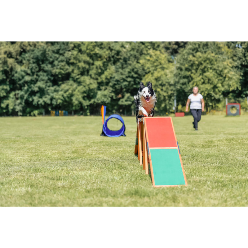 TRIXIE Large Outdoor Dog Agility Training Dogwalk