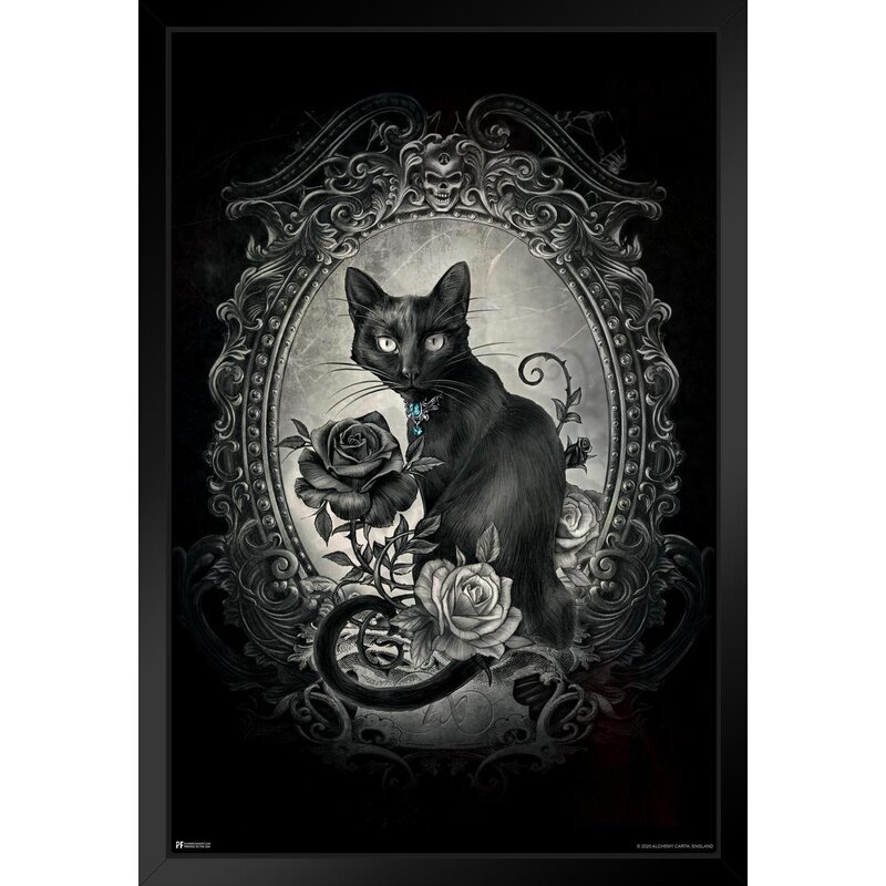 Alchemy Paracelsus Black Cat Gothic Goth Room Decor