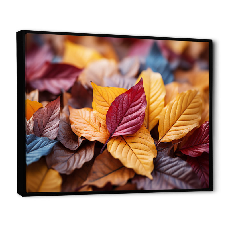 Orange orange, feuilles d'érable d'automne II - érable, art mural, Cadre flottant noir, H 34 po x l 44 po x P 1,5 po