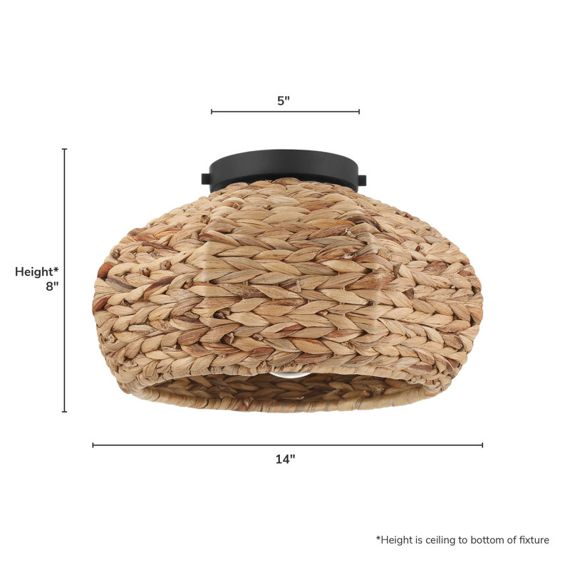 Hunter Cambria 1 Light Medium Flush Mount Ceiling Light Fixture