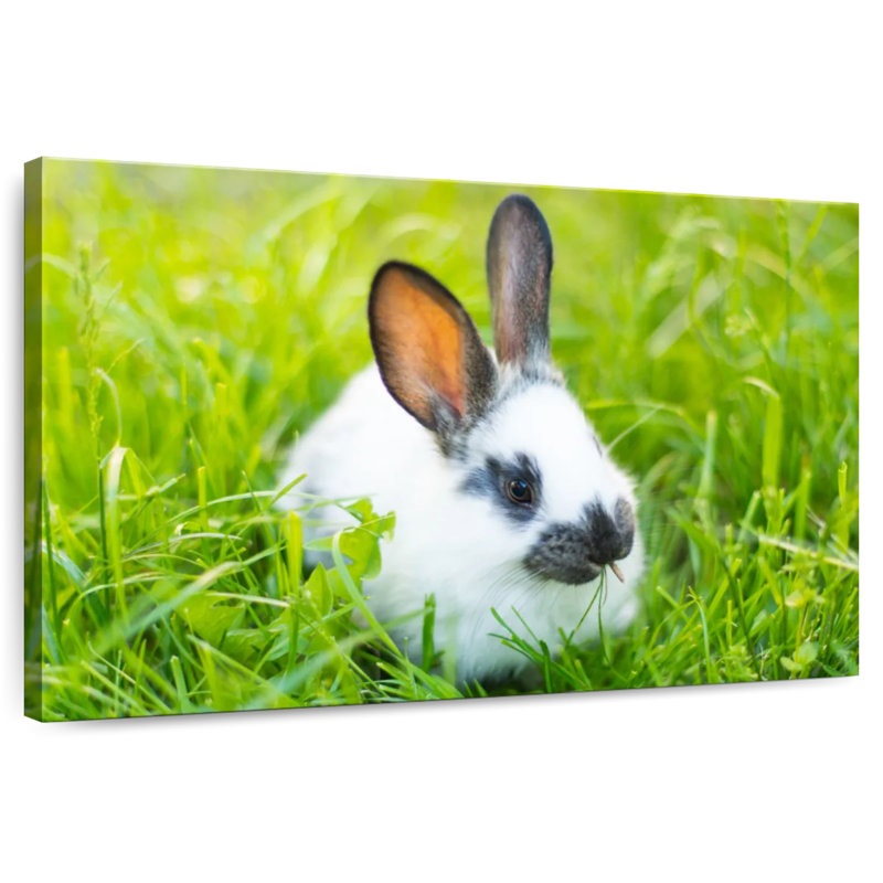 Brampt Grass Munching Rabbit, 24" H x 36" W