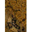 Wool Oriental Area Rug