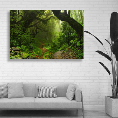 Paysage naturel «Deep Green Forest» sur