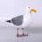 Seagull Life Size Statue