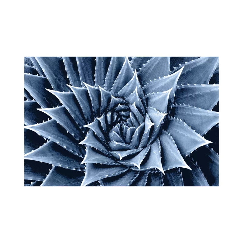 Indigo Succulent I by Mia Jensen - Wrapped Canvas Painting, 20.32 cm H x 30.48 cm W