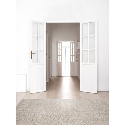 Vivace Hand Woven Area Rug Set