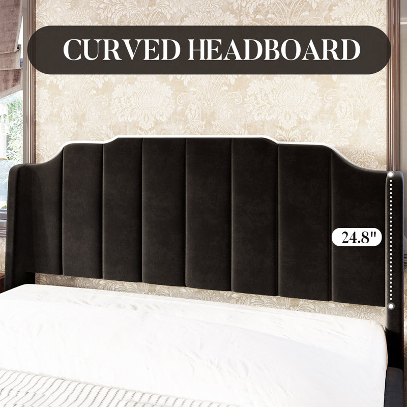 Lasater Queen Size Modern Curved Upholstered Bed, Black