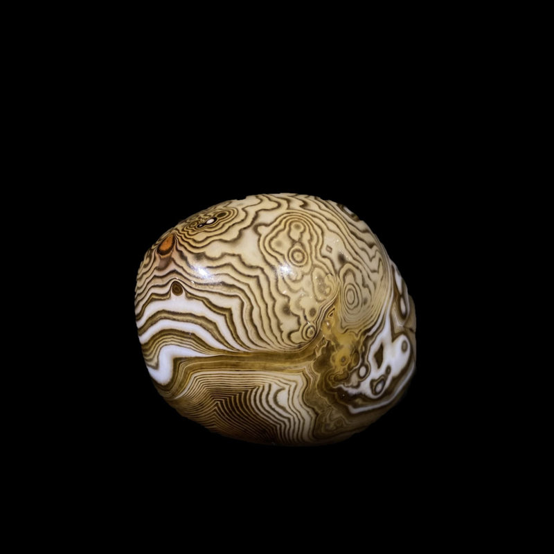 Palmier de sardonyx