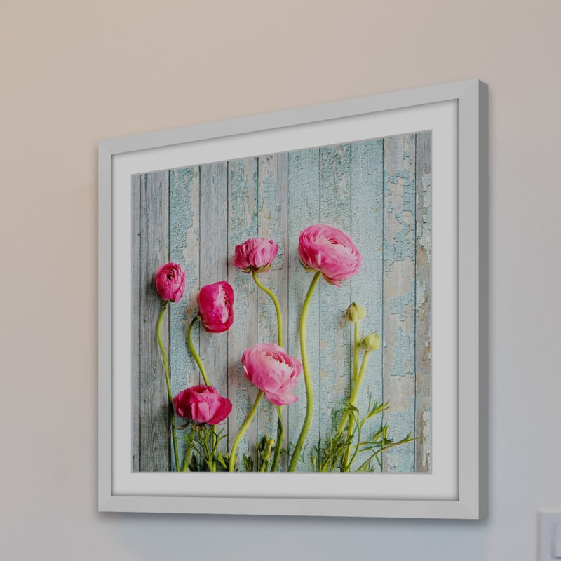 Sylvia Cook - Single Picture Frame Print, 41 cm H x 41 cm W x 3.81 cm D