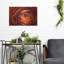 Mur en métal Ebern Designs «Ranonkel Oranje» par Rick Berk-1616975430