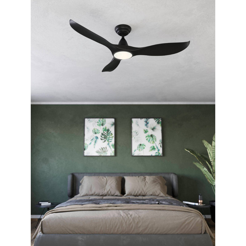 Deramus 132cm Ceiling Fan with LED Lights, Black, Black
