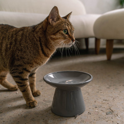 Dexypaws: bol pour chat en céramique à couvercle plat - gris - 7,5 oz, plat pour animaux de compagnie, repas, nourriture et eau, hauteur ergonomique surélevée, conception à moustaches, design élégant