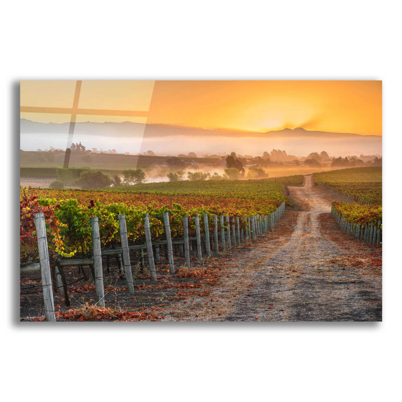 «Vineyard Sunrise» par John Gavrilis - impression sans cadre, L 16 po x H 12 po