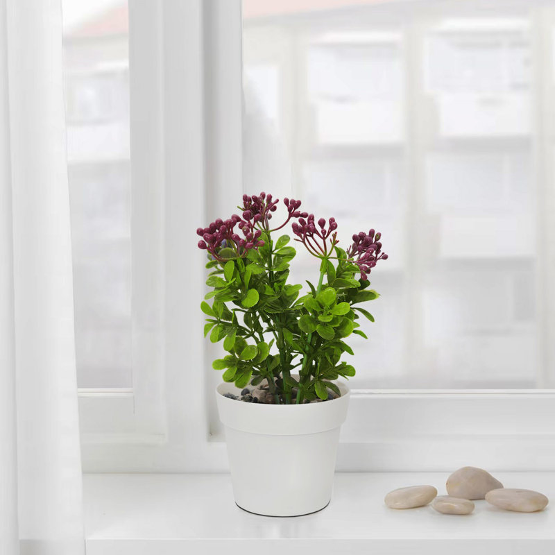 Cisneros Decorative Pot, White