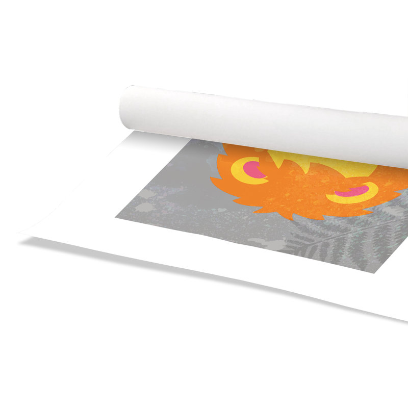 Impression sur papier Lion Way, H 16 po x l 12 po x P 1 po, Papier