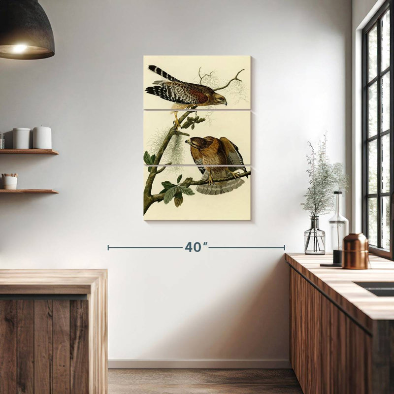 Brampt Red-Shouldered Hawk From Birds Of America, 38" H x 24" W