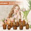 Ensemble de 20 vases à fleurs en verre pour petits centres de table en verre rustique pour table de mariage Décoration de Noël-1752239293