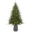 Sapin de Fraser Jasper Elite avec DEL