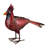 Henna Cardinal Decor