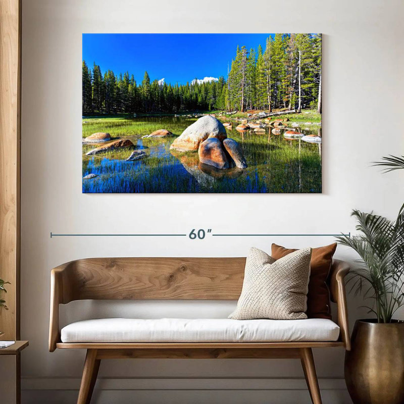Summer In Yosemite